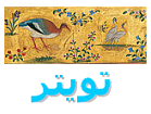 follow us on Twitter